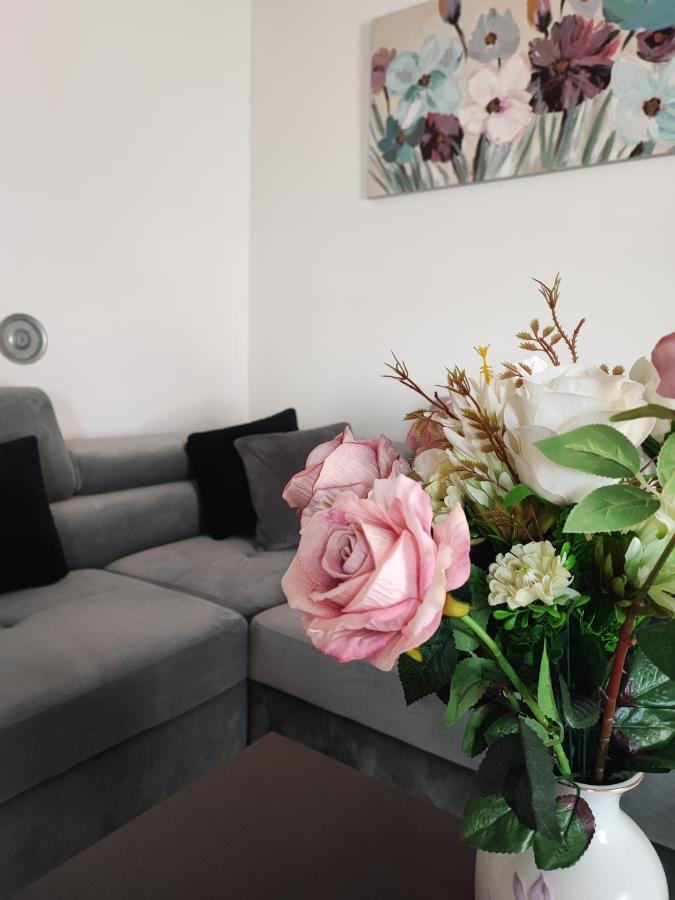 Apartment Eva Pula Zewnętrze zdjęcie